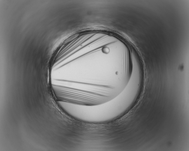 X0000115731269200912101443