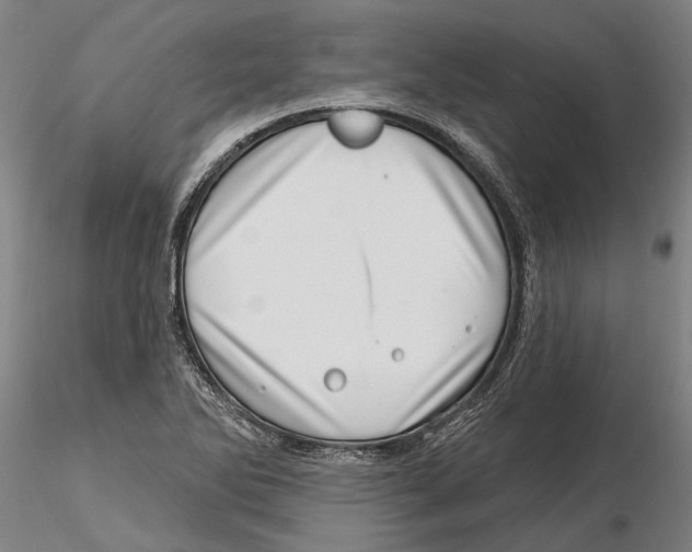 X0000115731270200912101443