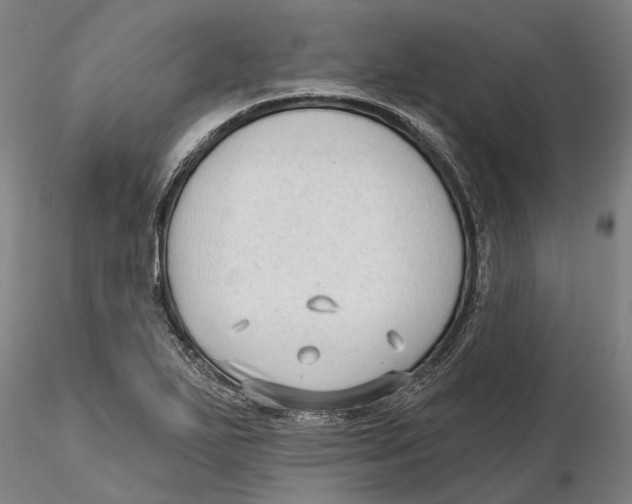 X0000115731271200912101443