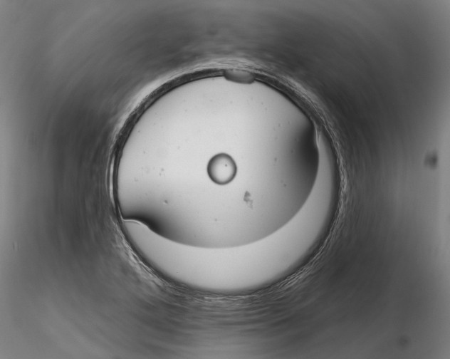 X0000115731272200912101443