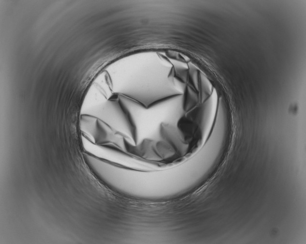 X0000115731273200912101443