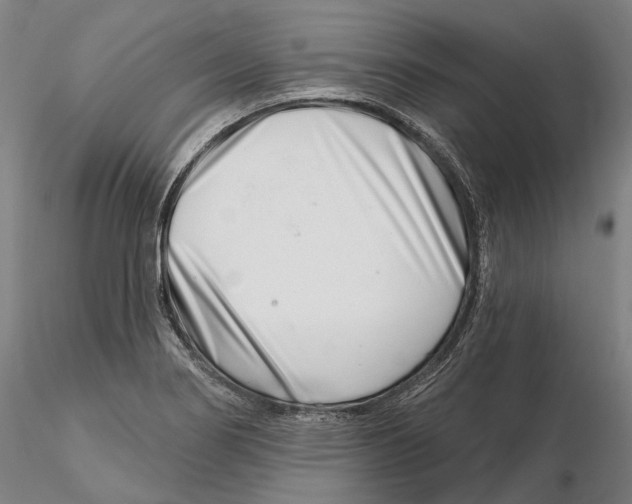X0000115731274200912101443