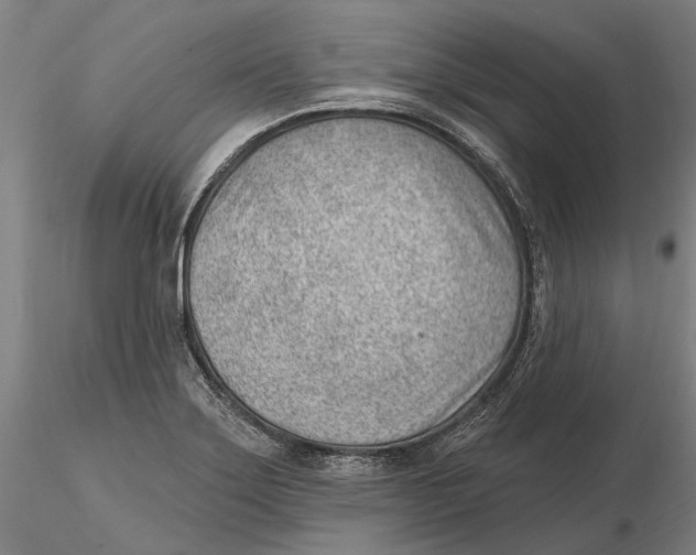 X0000115731275200912101443