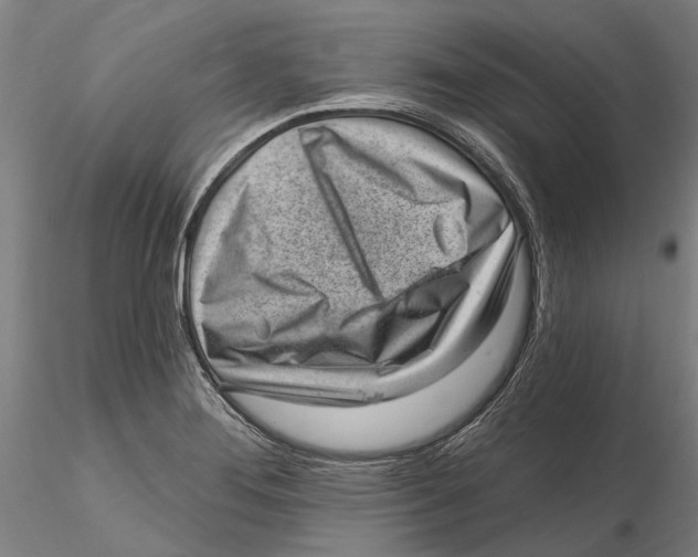 X0000115731276200912101443