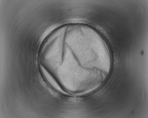 X0000115731277200912101443