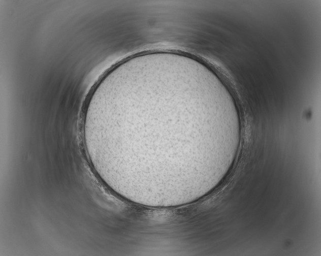 X0000115731278200912101443