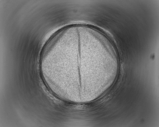 X0000115731279200912101443