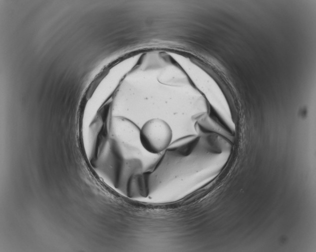 X0000115731280200912101443