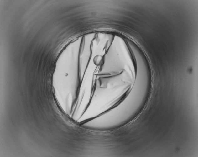 X0000115731281200912101443