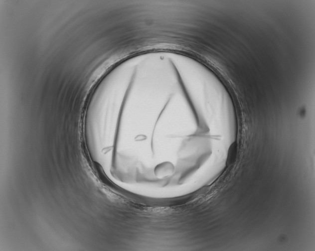 X0000115731282200912101443