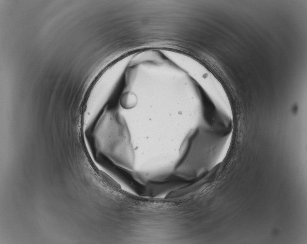 X0000115731284200912101443