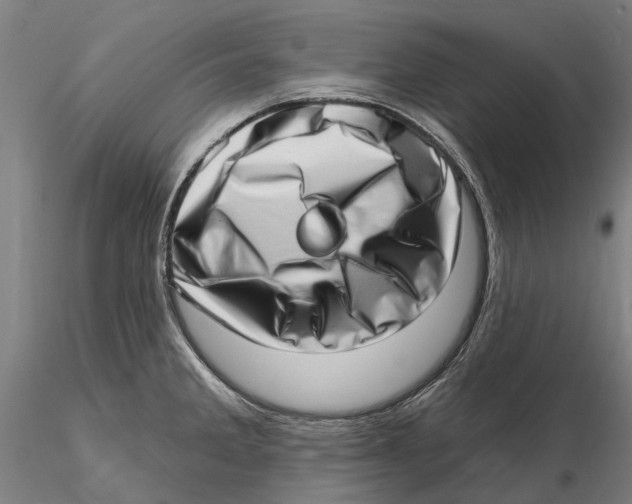 X0000115731285200912101443