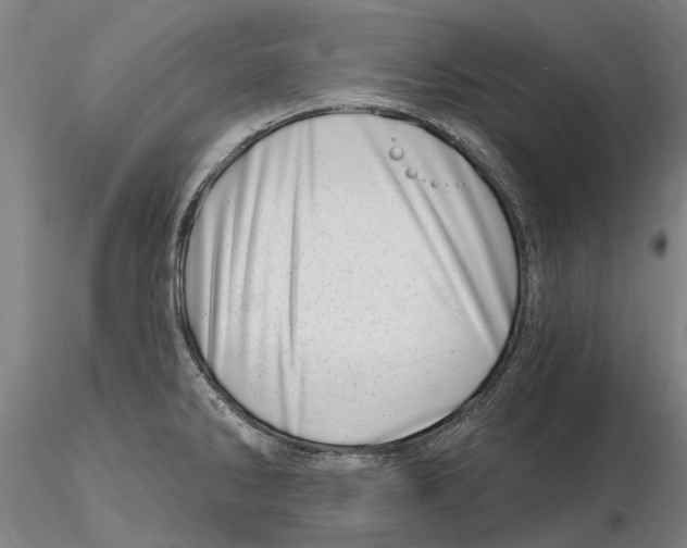 X0000115731286200912101443