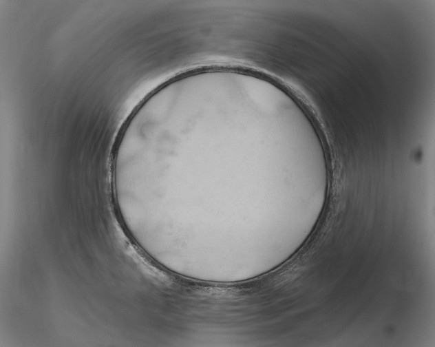 X0000115731287200912101443