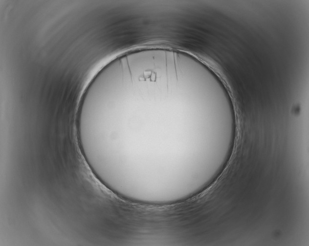 X0000115731288200912101443