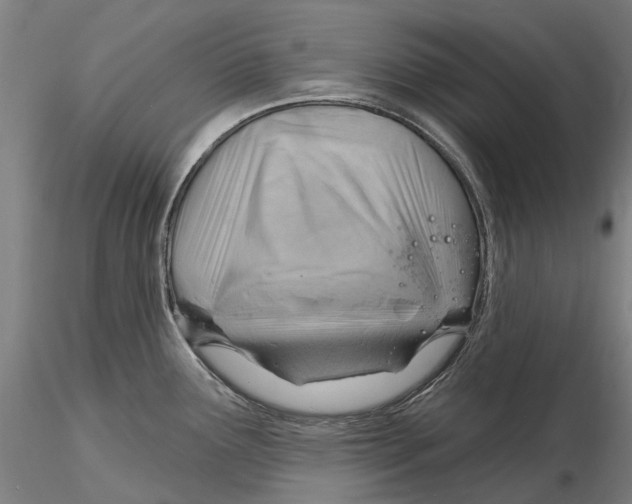X0000115731291200912101443