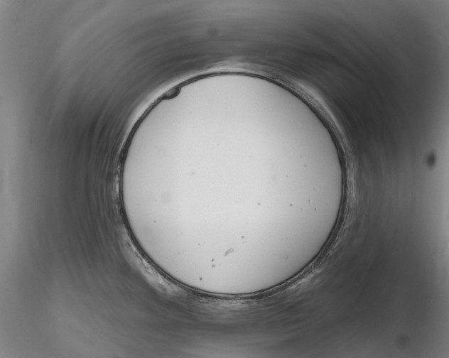 X0000115731292200912101443