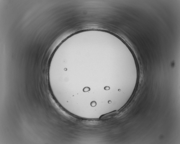 X0000115731293200912101443