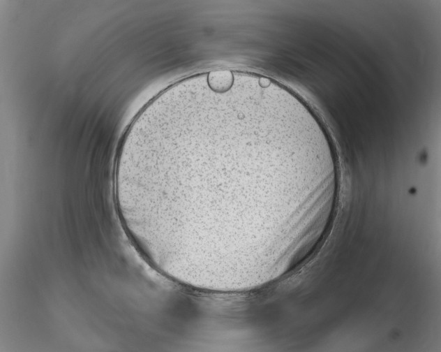 X0000115731294200912101443