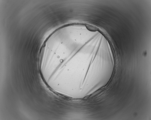 X0000115731295200912101443