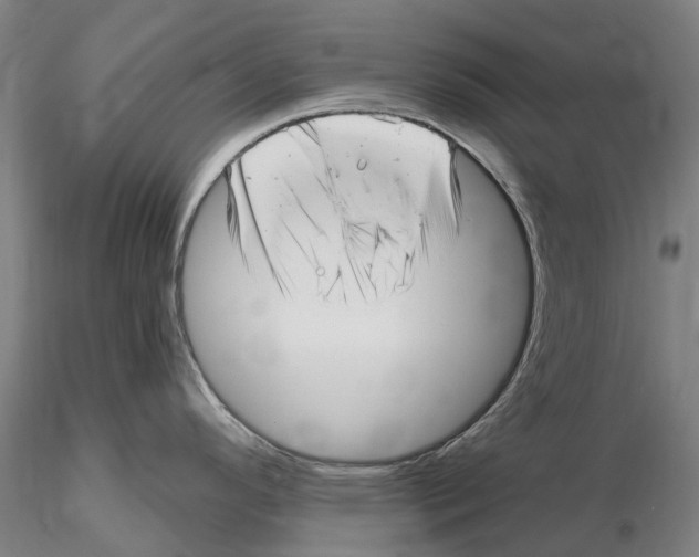 X0000115731296200912101443
