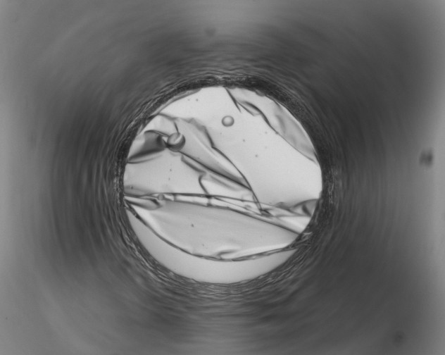 X0000115731298200912101442