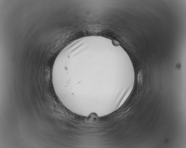 X0000115731299200912101442
