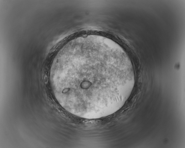 X0000115731303200912101442
