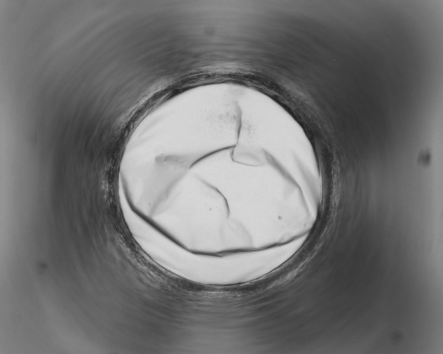 X0000115731305200912101442
