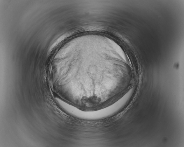 X0000115731306200912101442