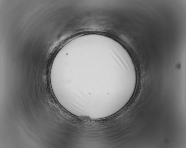 X0000115731307200912101442