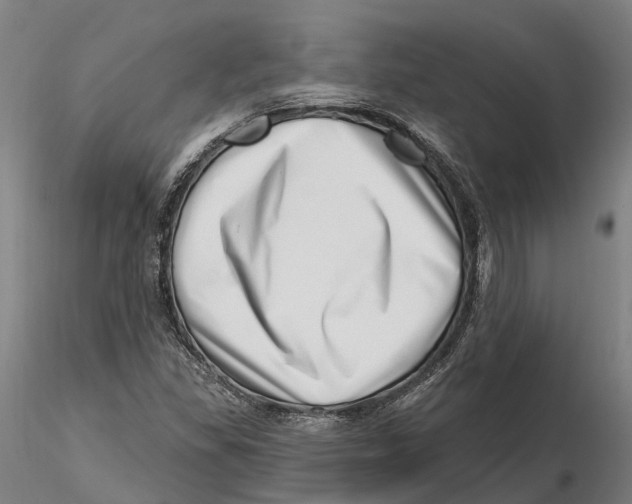 X0000115731309200912101442