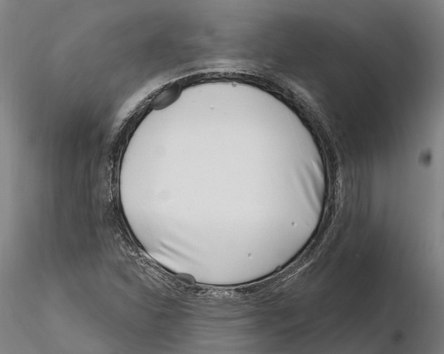 X0000115731310200912101442
