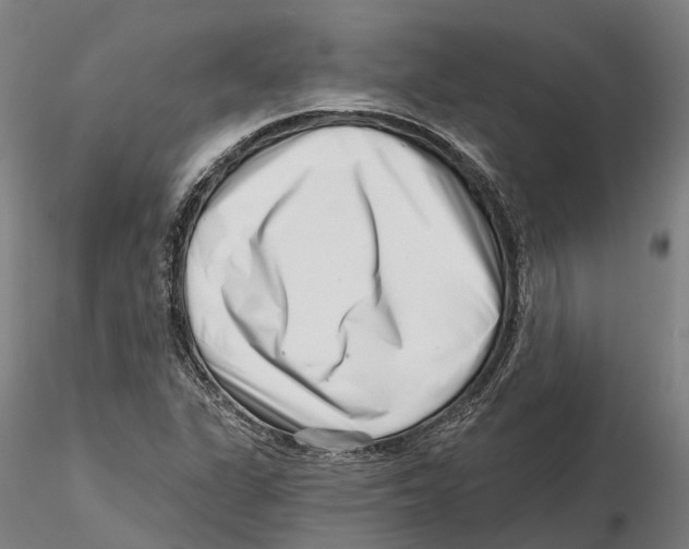 X0000115731311200912101442