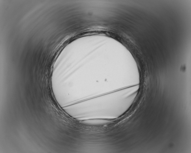X0000115731313200912101442