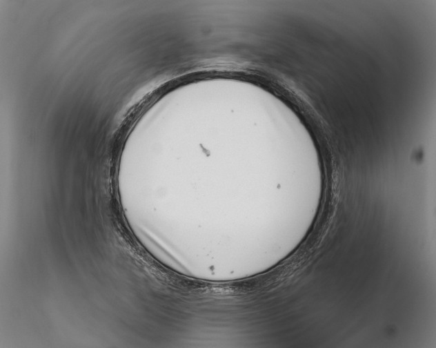 X0000115731315200912101442