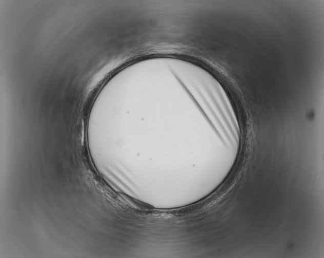 X0000115731317200912101442
