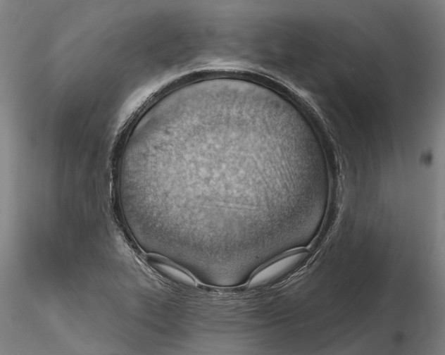 X0000115731319200912101442