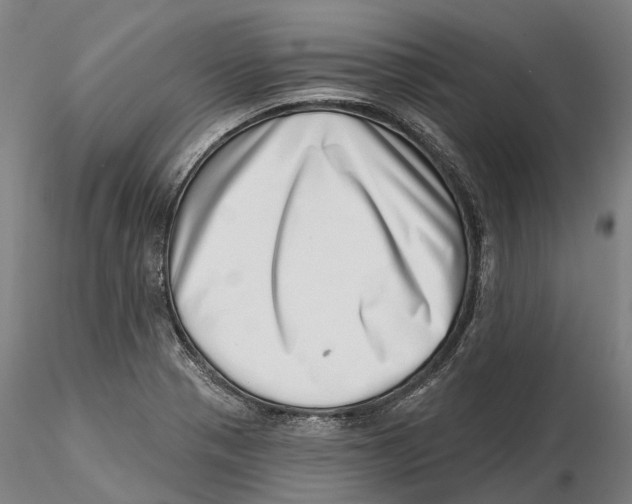 X0000115731321200912101442