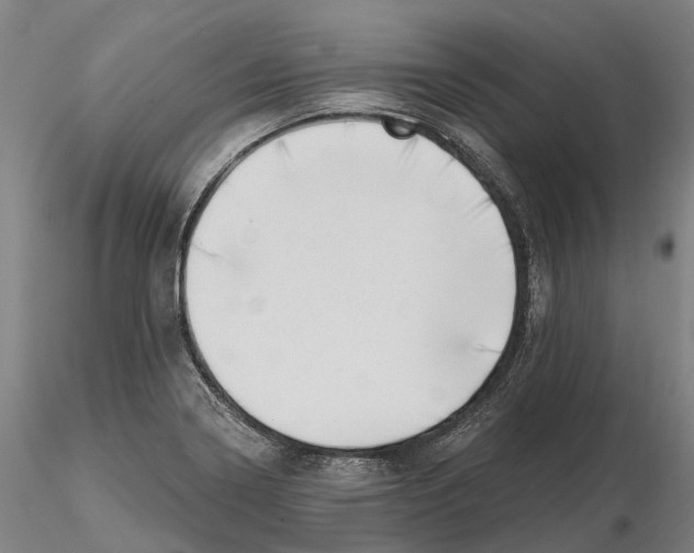 X0000115731322200912101442