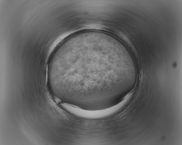 X0000115731323200912101442