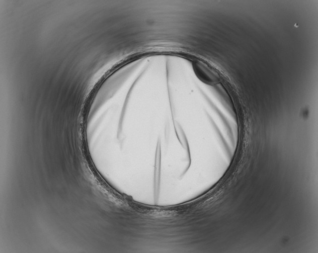 X0000115731325200912101443