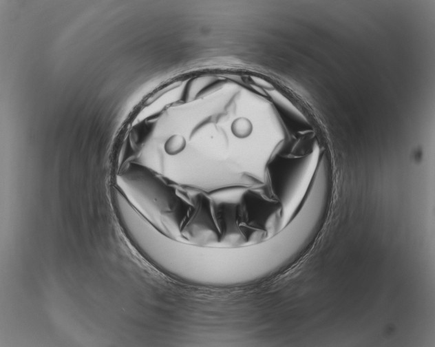 X0000115731326200912101443