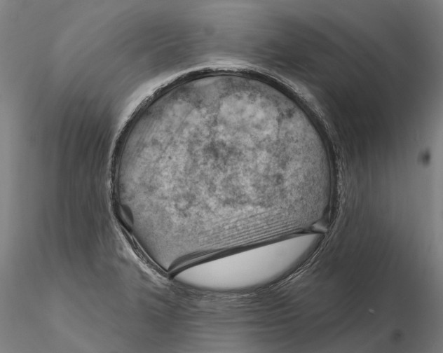 X0000115731327200912101443
