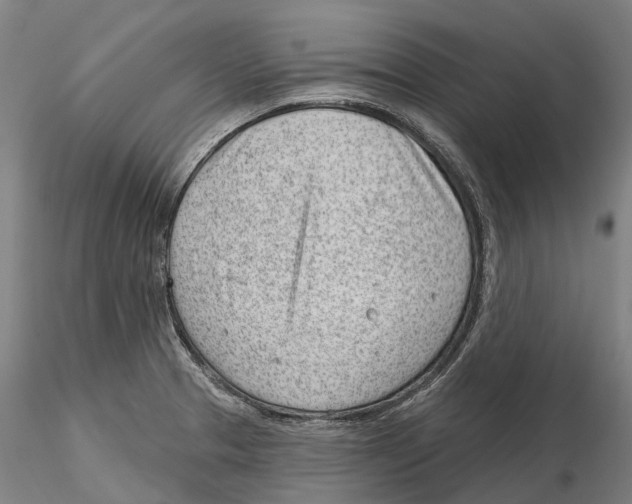 X0000115731329200912101443