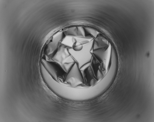 X0000115731330200912101443
