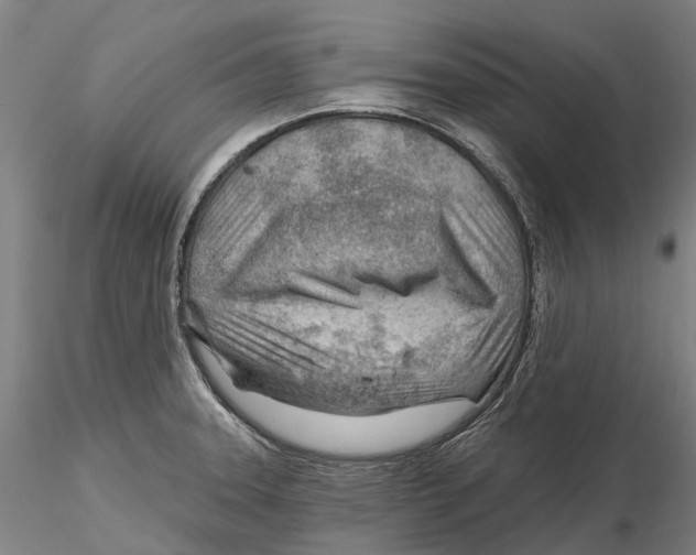 X0000115731331200912101443