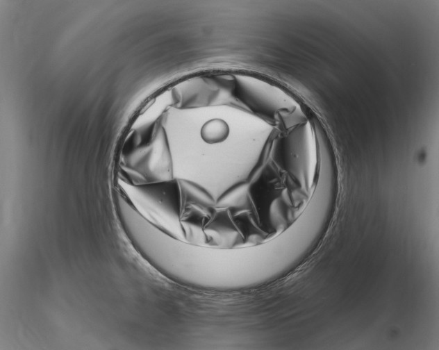 X0000115731334200912101443