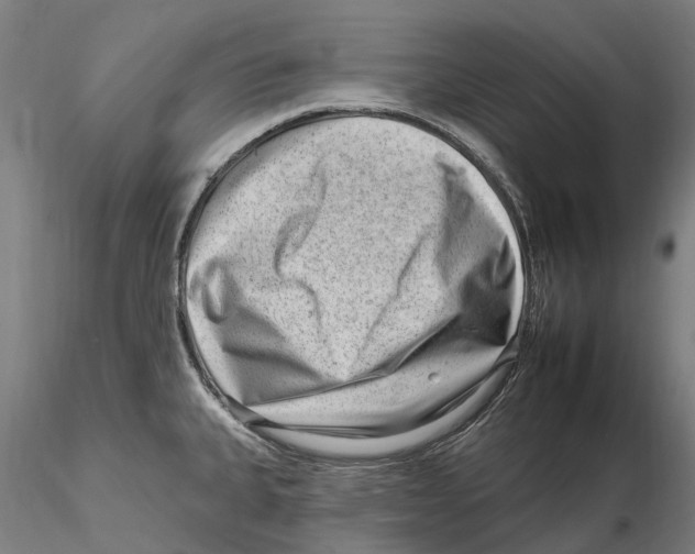 X0000115731335200912101443