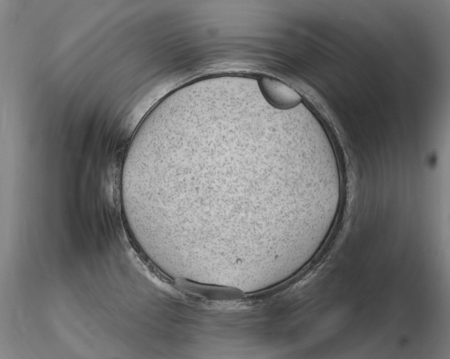 X0000115731337200912101443